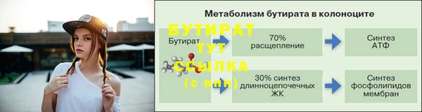 прущие грибы Богданович