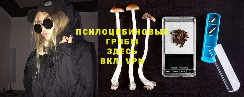 Псилоцибиновые грибы Psilocybe  купить наркоту  нарко площадка как зайти  Нерехта 